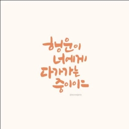 피드에 업로드 된 이미지