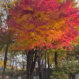 피드에 업로드 된 이미지