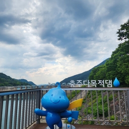 피드에 업로드 된 이미지