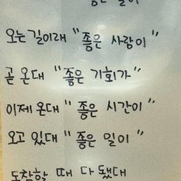 피드에 업로드 된 이미지