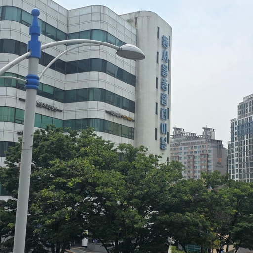 피드 이미지