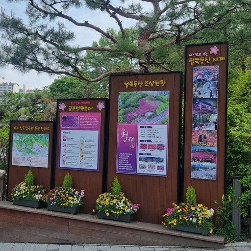 피드 이미지