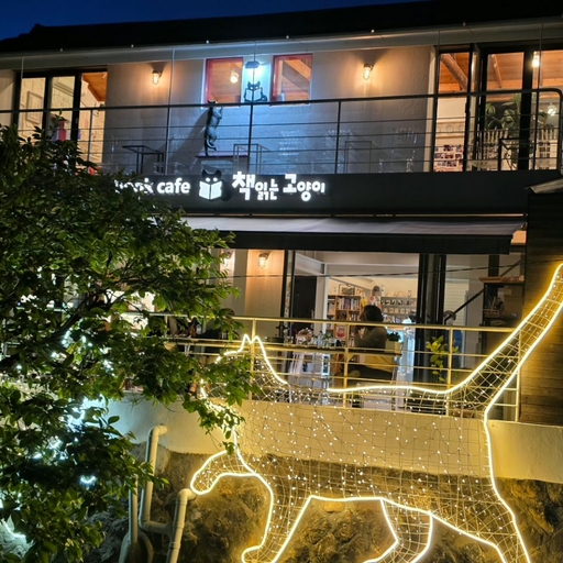 피드 이미지