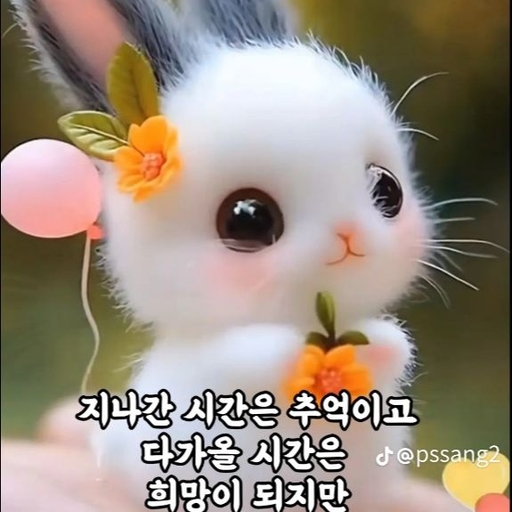 피드 이미지