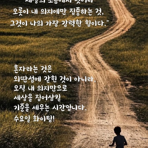 피드 이미지