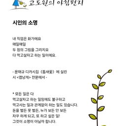 피드에 업로드 된 이미지
