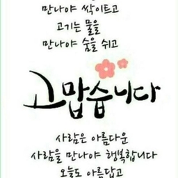피드에 업로드 된 이미지