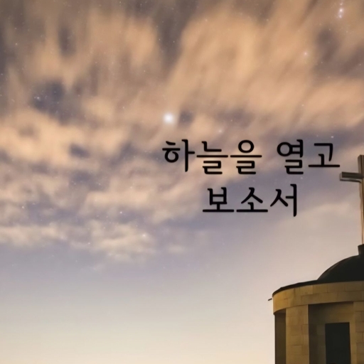 피드 이미지