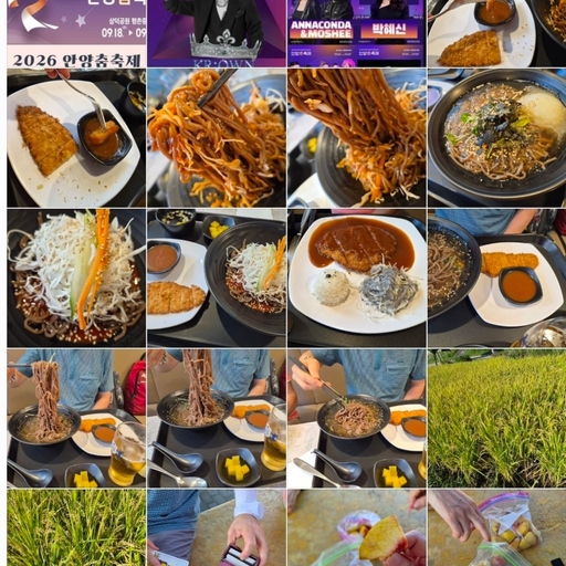 피드 이미지