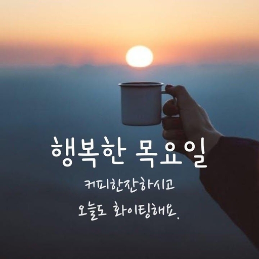 피드 이미지