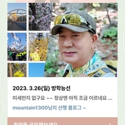 피드에 업로드 된 이미지