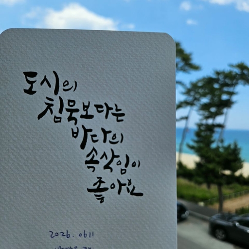 피드 이미지