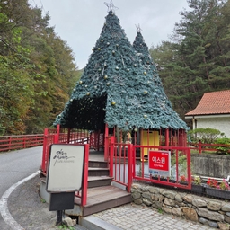 피드에 업로드 된 이미지