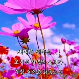 피드에 업로드 된 이미지