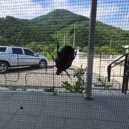 피드에 업로드 된 이미지