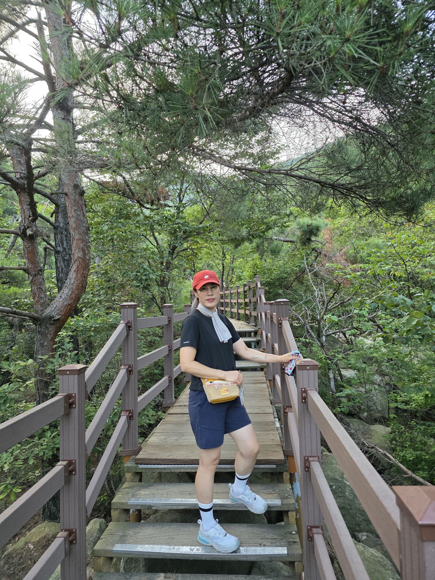 피드 이미지