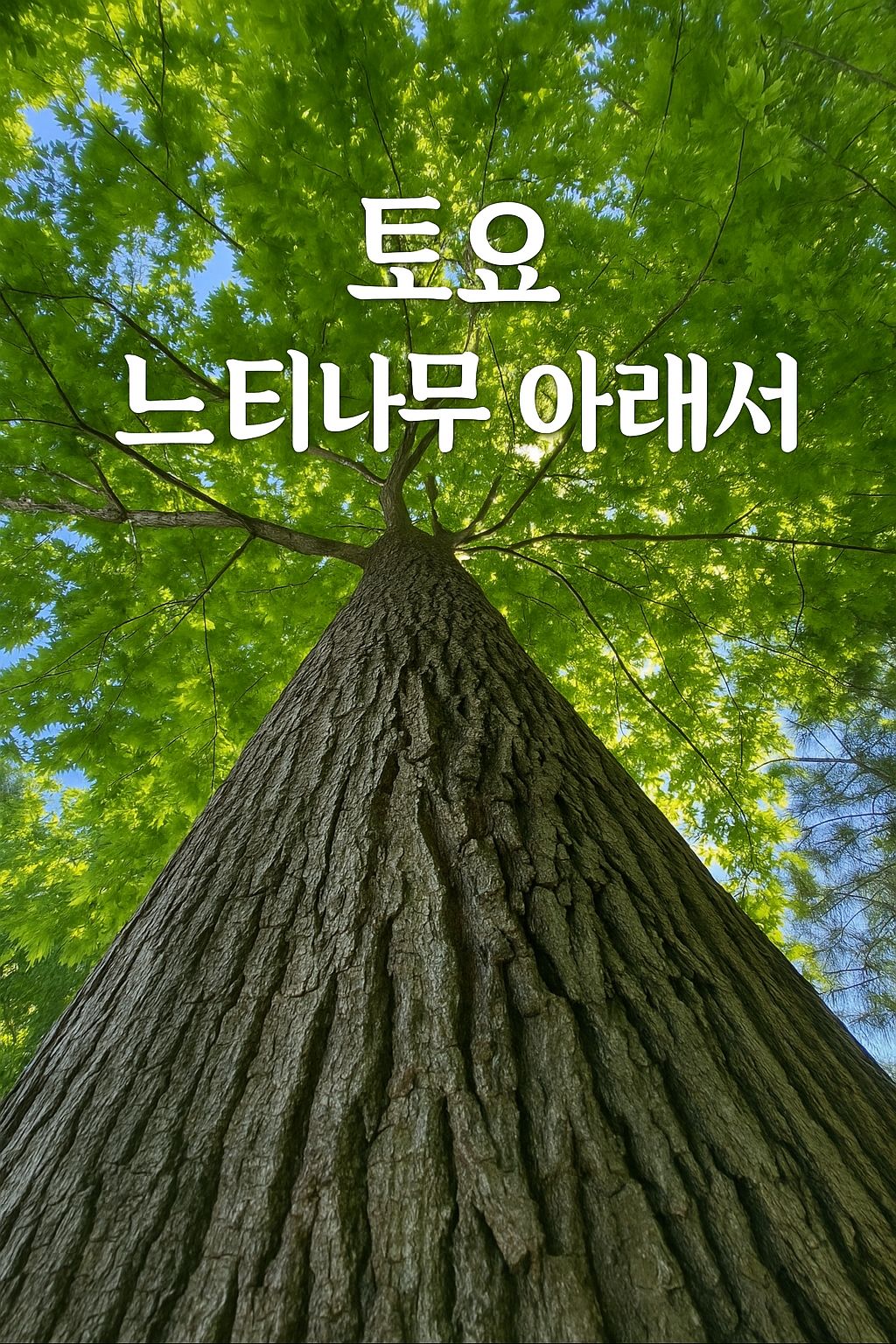 피드 이미지