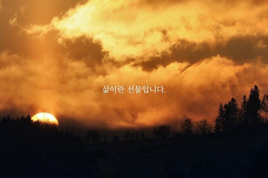 피드에 업로드 된 이미지