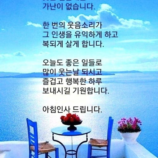 피드 이미지