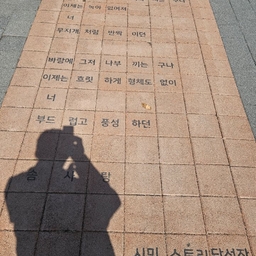 피드에 업로드 된 이미지