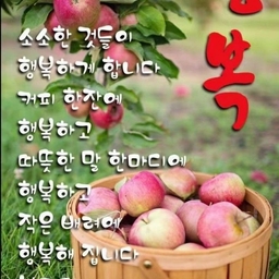 피드에 업로드 된 이미지