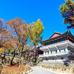 피드에 업로드 된 이미지