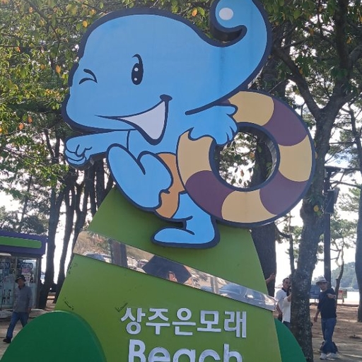 피드 이미지