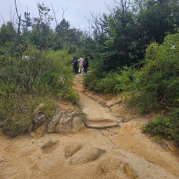 피드에 업로드 된 이미지