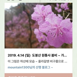 피드에 업로드 된 이미지