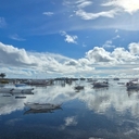 공지사항 작성자 프로필