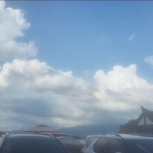 피드 이미지