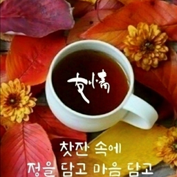 ํผ๋์ ์
๋ก๋ ๋ ์ด๋ฏธ์ง