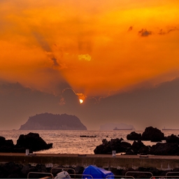 피드에 업로드 된 이미지