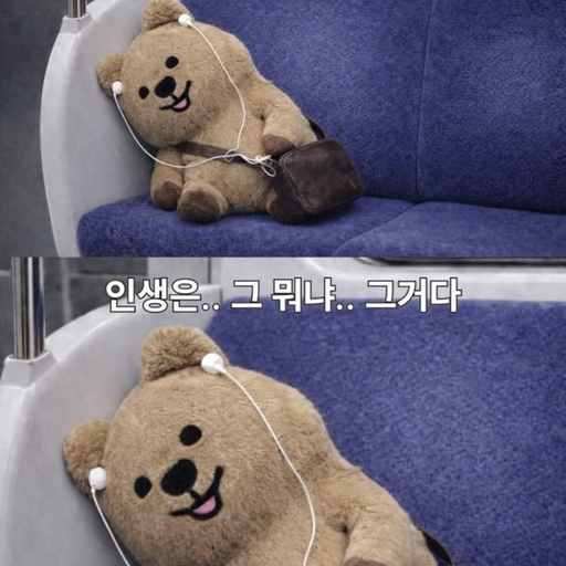 피드 이미지