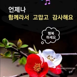 피드에 업로드 된 이미지