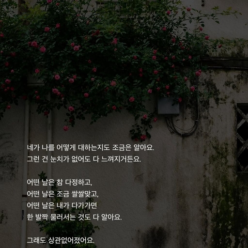 피드 이미지