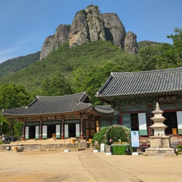 피드에 업로드 된 이미지