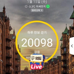 피드에 업로드 된 이미지