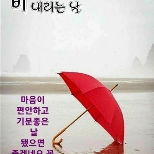 피드 이미지