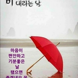 피드에 업로드 된 이미지