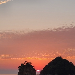 모임 이미지