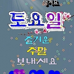 피드에 업로드 된 이미지