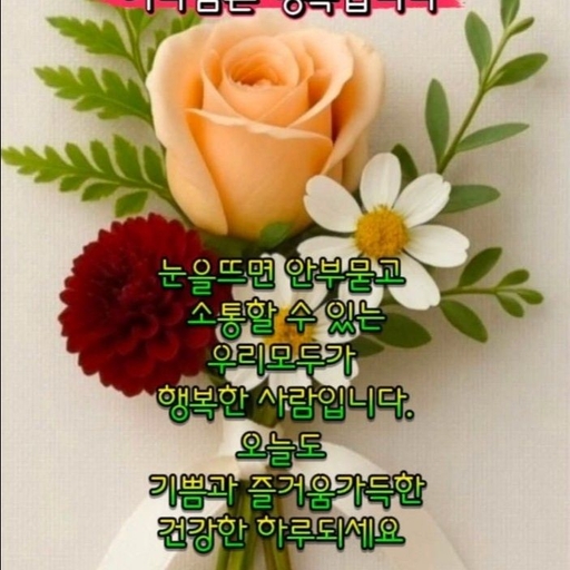 피드 이미지