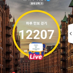 피드에 업로드 된 이미지