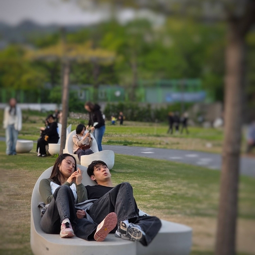피드 이미지