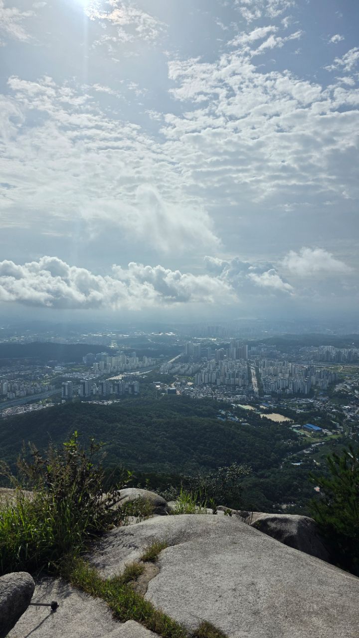 피드 이미지