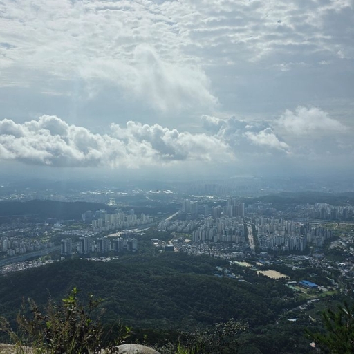 피드 이미지