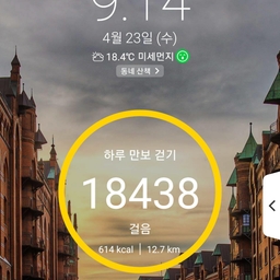 피드에 업로드 된 이미지