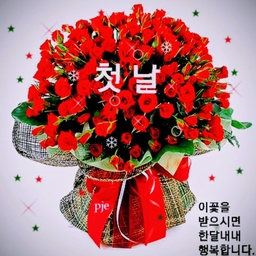피드에 업로드 된 이미지