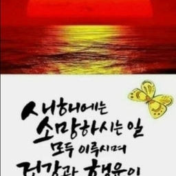 피드에 업로드 된 이미지